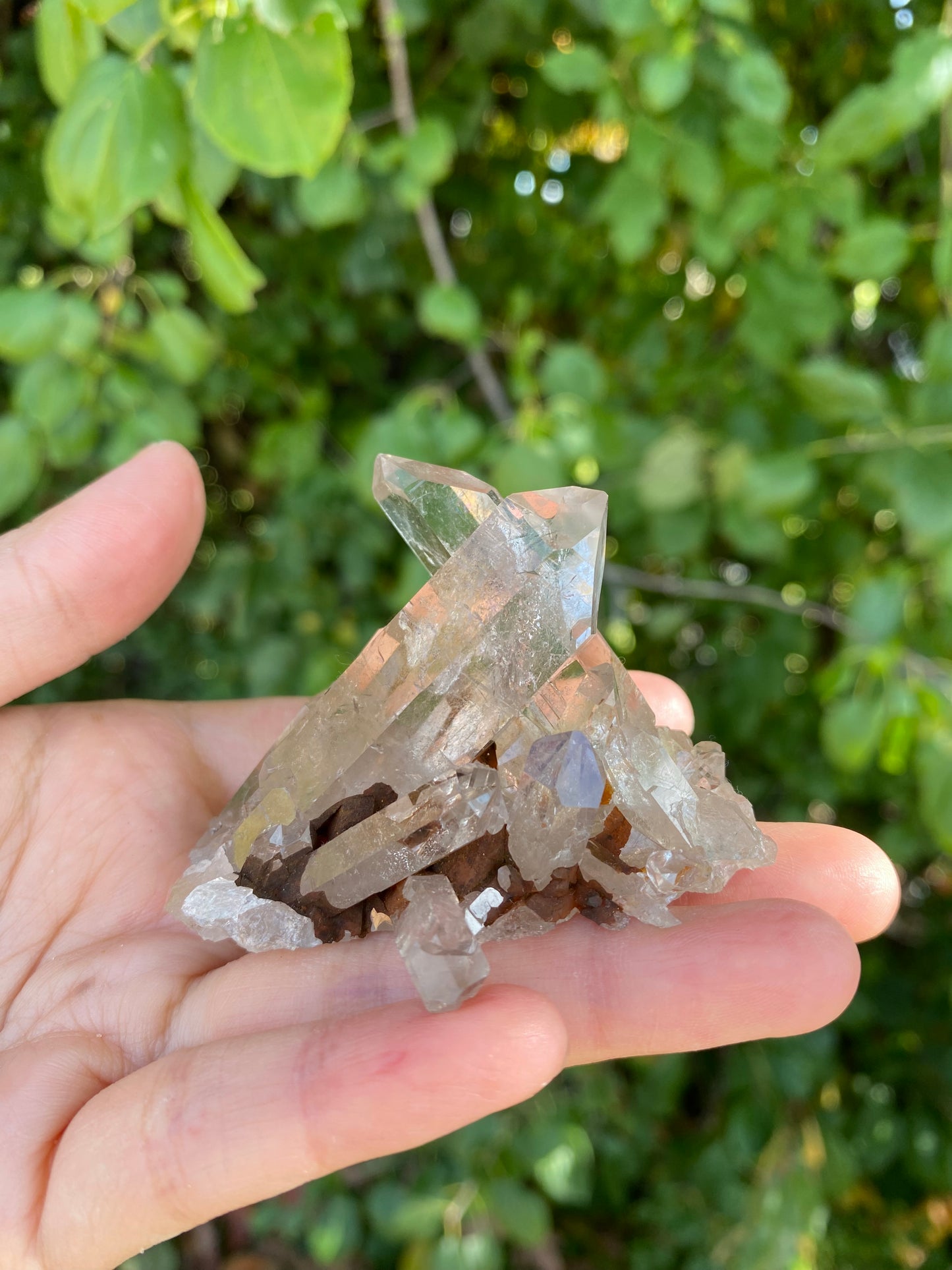 Capa saco quartz E  (キャパサコ水晶)